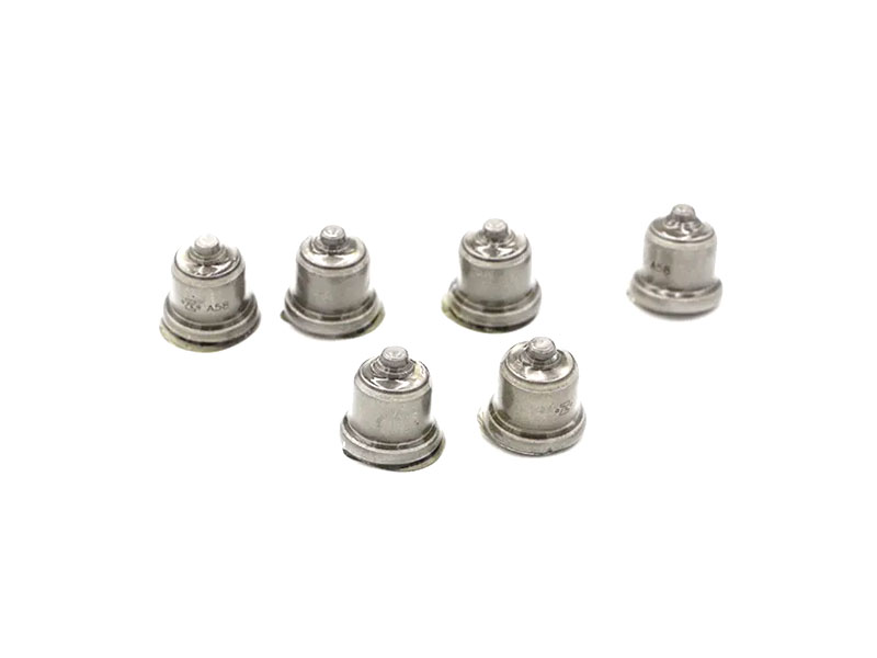 Diesel Pump Delivery Valve 2418552063