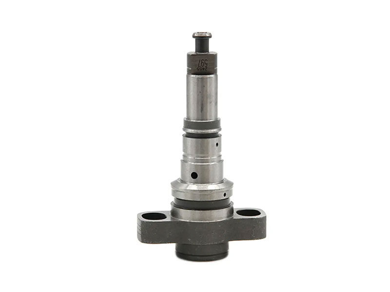 2418455508 Diesel ponpa enbalatzailearen elementua